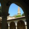 arezzo_39