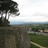 arezzo_75