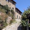 porciano11